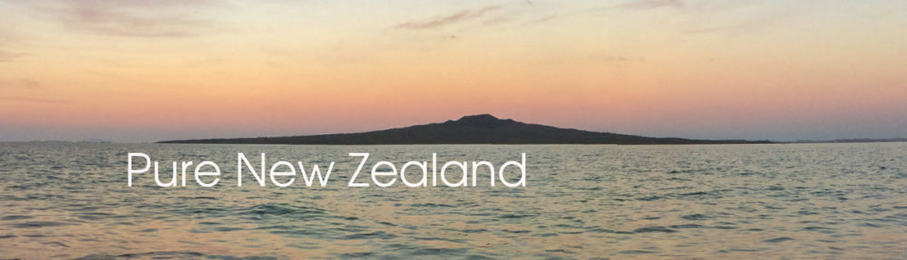 【マヌカハニー】MG830＋ NZから直送